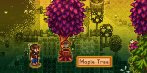 How to Get Maple Syrup in Stardew Valley?